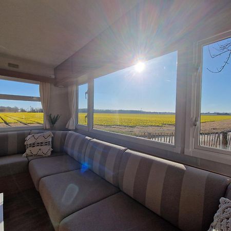 Chalet 'Como La Flor' Julianadorp Flowerfields Overview! Esterno foto