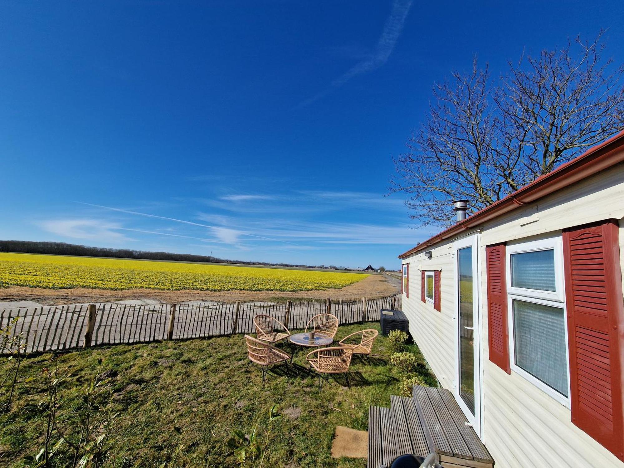 Chalet 'Como La Flor' Julianadorp Flowerfields Overview! Esterno foto